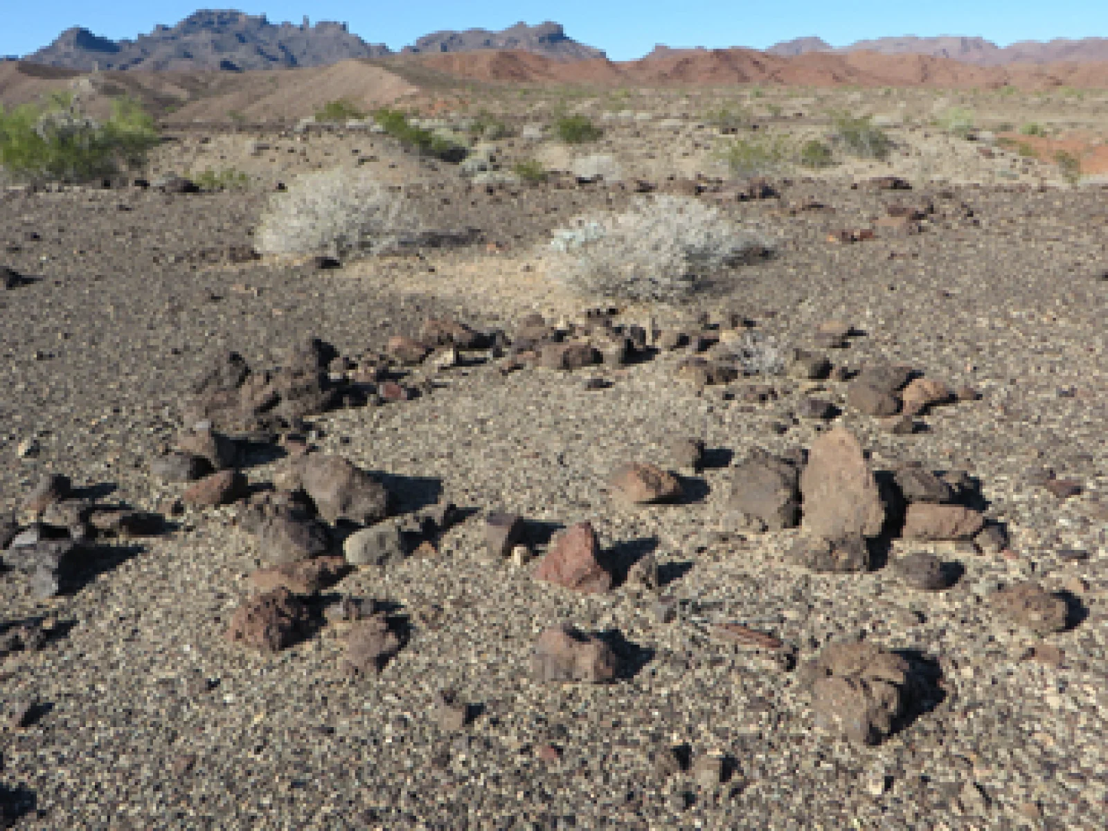 Lower Colorado River Surveys – Copper Basin Wash (California) and Eagle Wash (Arizona)