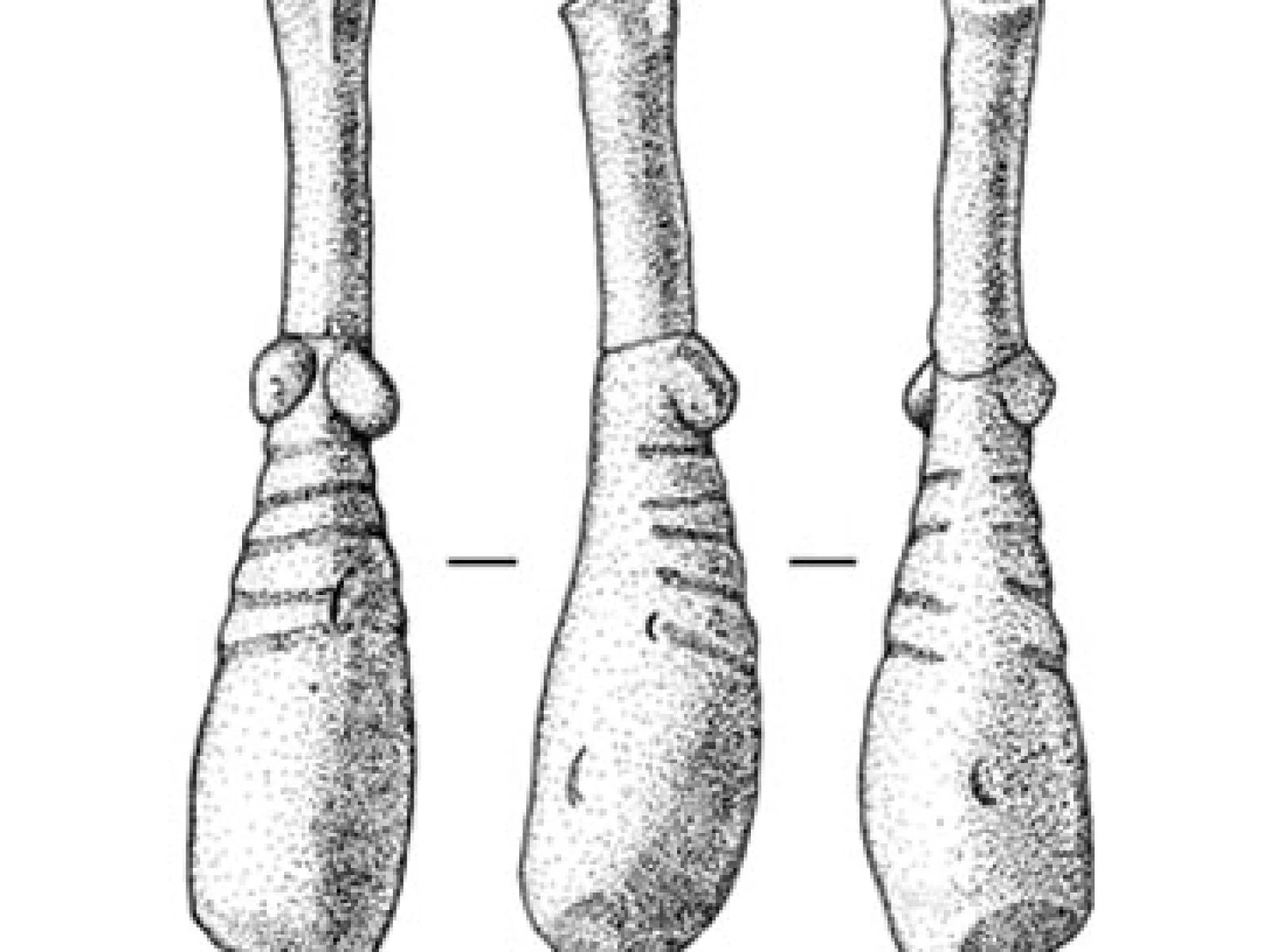 Las Capas Data Recovery