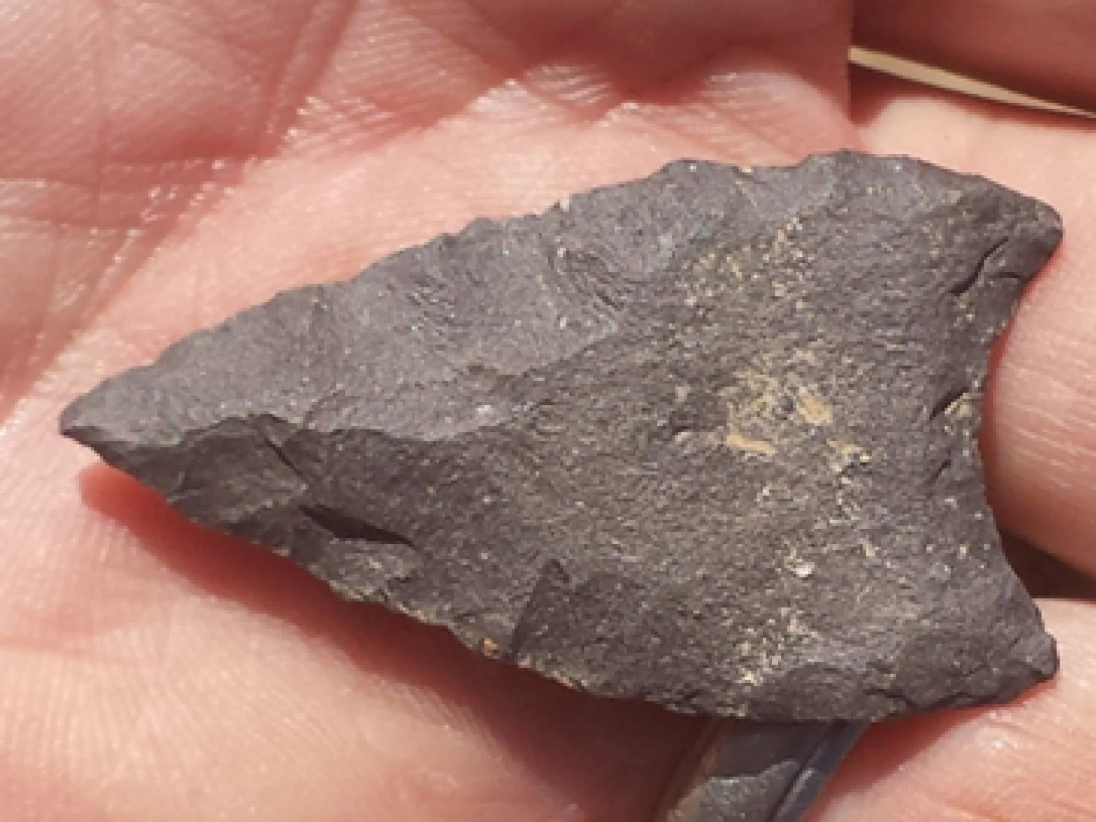 Northern Altar Watershed Area Restoration Survey